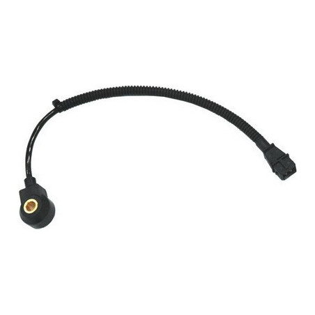 Capteur de cognement FISPA