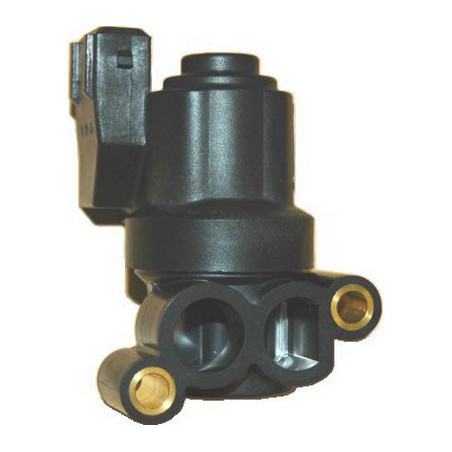 Moteur pas à pas (vanne de...