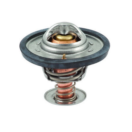 Thermostat d'eau FISPA