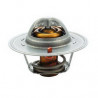 Thermostat d'eau FISPA