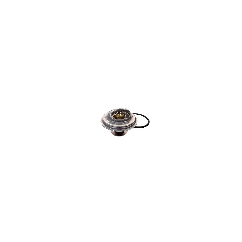 Thermostat d'eau FISPA