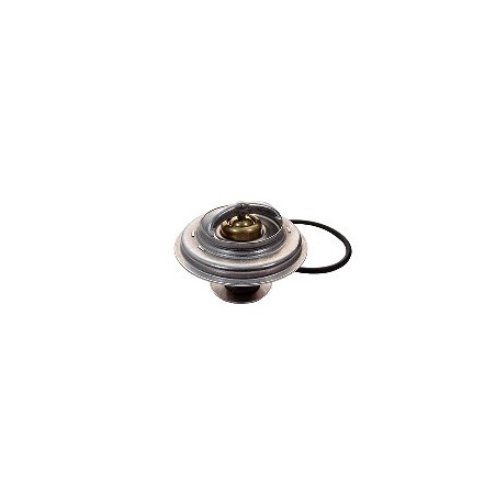 Thermostat d'eau FISPA