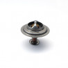 Thermostat d'eau FISPA