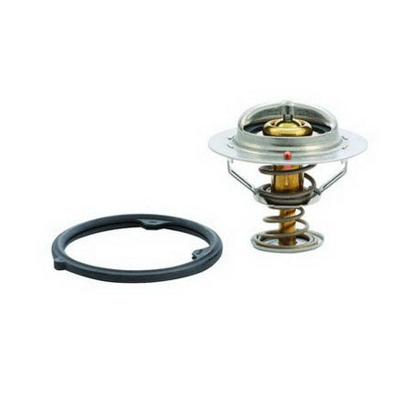 Thermostat d'eau FISPA