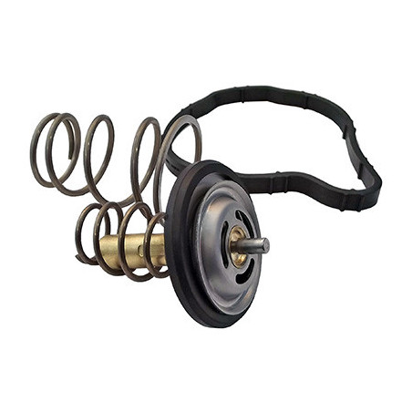 Thermostat d'eau FISPA