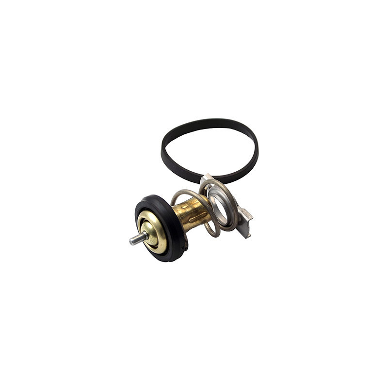 Thermostat d'eau FISPA