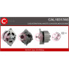 Alternateur CASCO