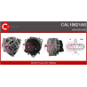 Alternateur CASCO