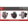 Alternateur CASCO