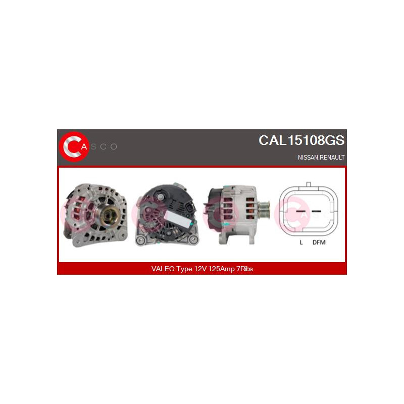 Alternateur CASCO