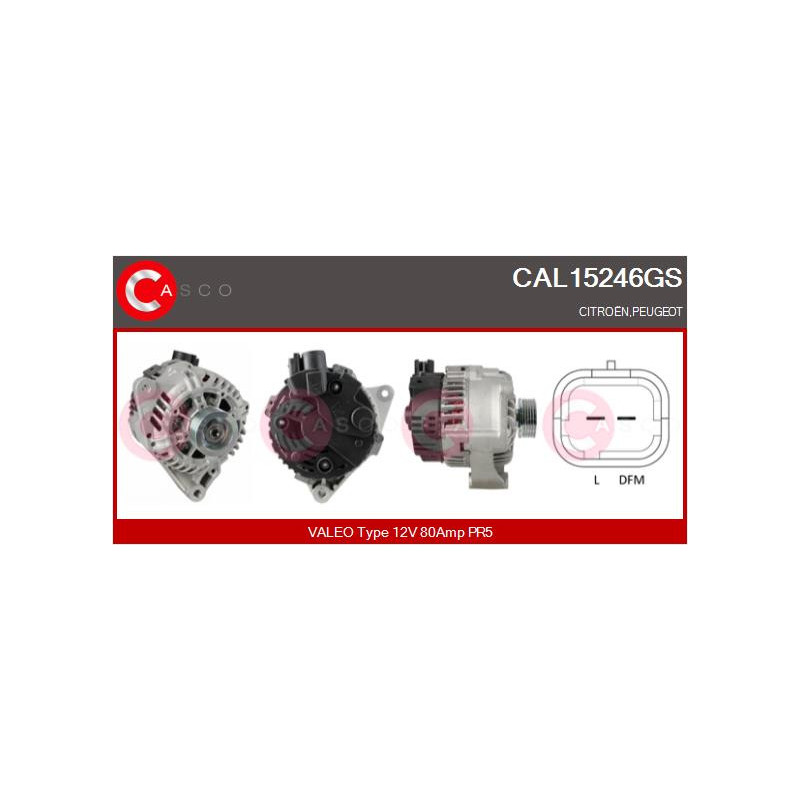 Alternateur CASCO