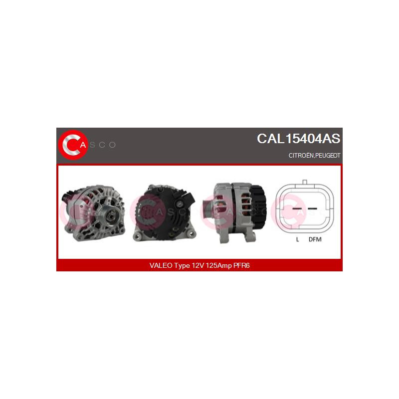 Alternateur CASCO