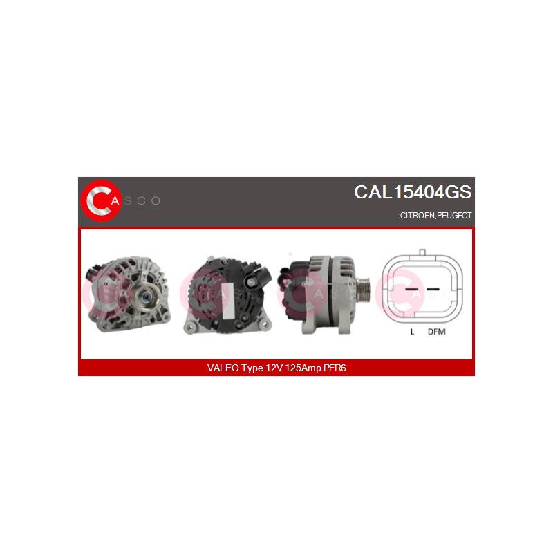 Alternateur CASCO