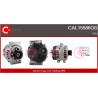 Alternateur CASCO