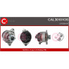 Alternateur CASCO