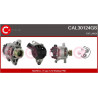 Alternateur CASCO