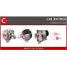 Alternateur CASCO
