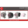 Alternateur CASCO