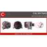Alternateur CASCO
