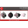 Alternateur CASCO