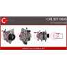 Alternateur CASCO