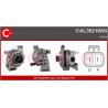 Alternateur CASCO