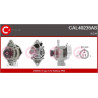 Alternateur CASCO