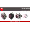 Alternateur CASCO