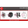 Alternateur CASCO