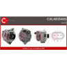 Alternateur CASCO