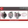 Alternateur CASCO