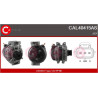 Alternateur CASCO