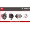 Alternateur CASCO