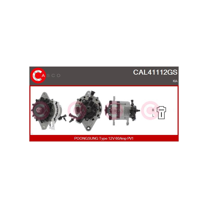 Alternateur CASCO