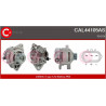 Alternateur CASCO