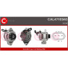 Alternateur CASCO