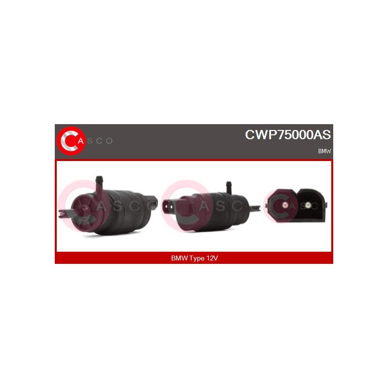 Pompe lave-glace CASCO