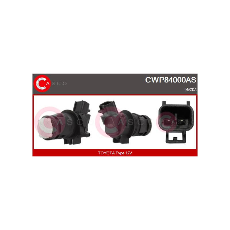 Pompe lave-glace CASCO