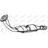 Catalyseur WALKER