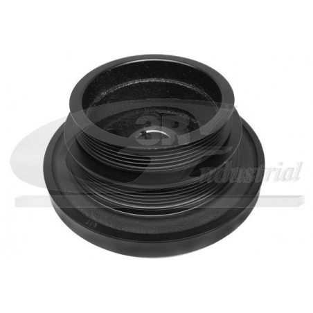 Poulie damper troisRG