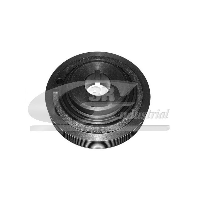 Poulie damper troisRG