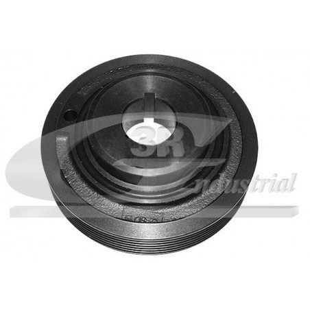 Poulie damper troisRG