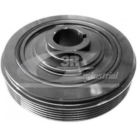 Poulie damper troisRG