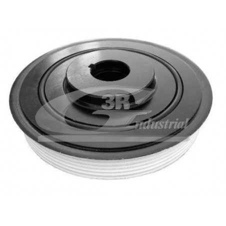 Poulie damper troisRG