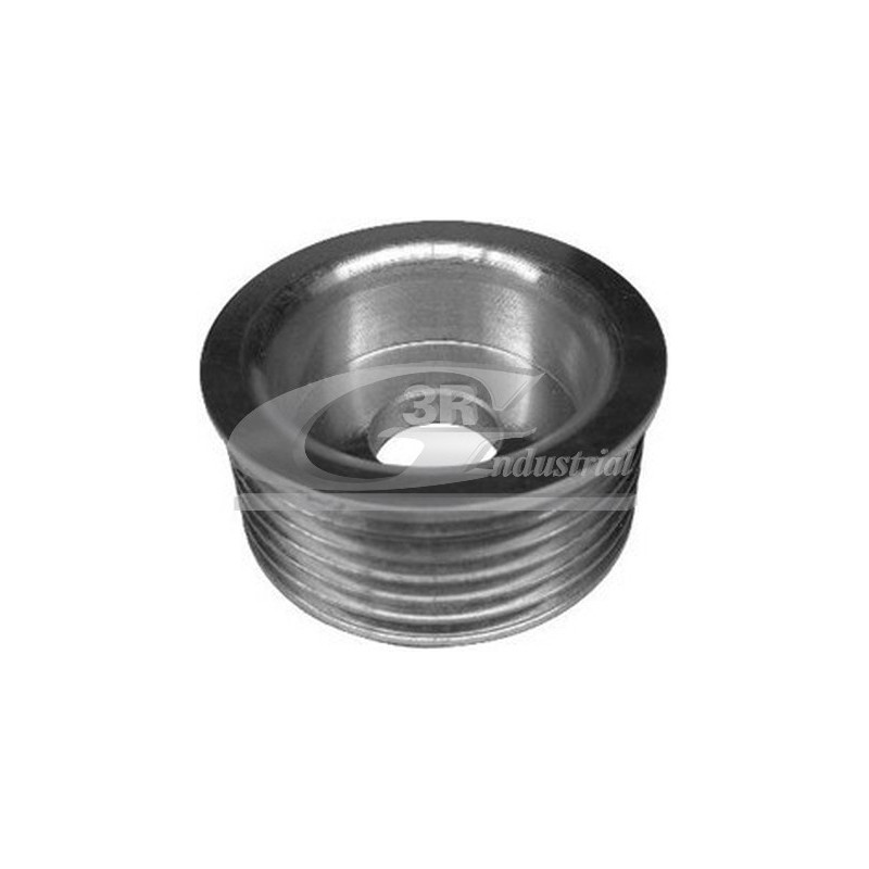 Poulie (alternateur) troisRG