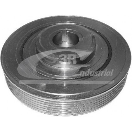 Poulie damper troisRG