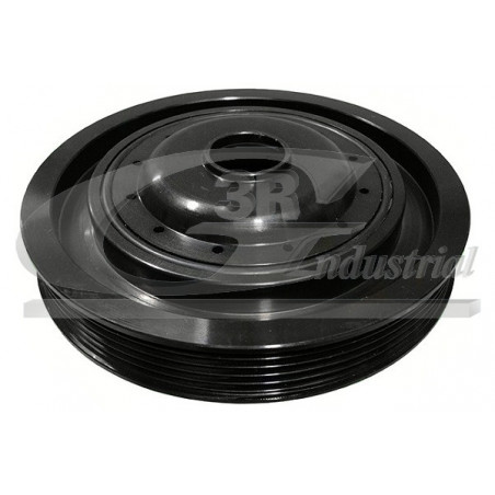 Poulie damper troisRG