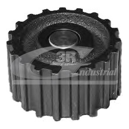 Poulie (pompe à eau) troisRG