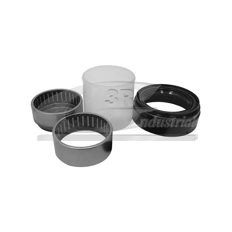 Kit de réparation (corps de l'essieu) troisRG