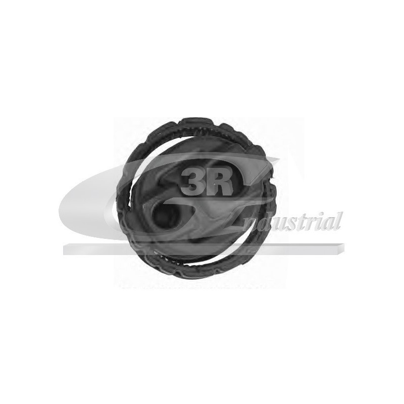 Support (amortisseur) troisRG